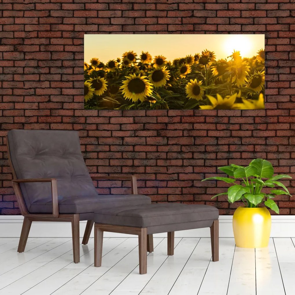 Tablou cu lan de floarea soarelui (120x50 cm)