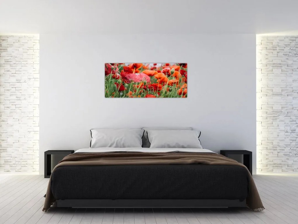 Tablou din câmp cu maci (120x50 cm)