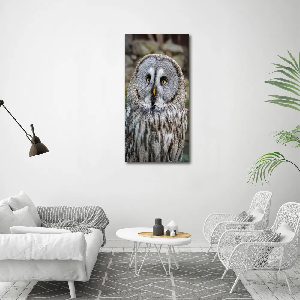 Print pe canvas Bufniţă