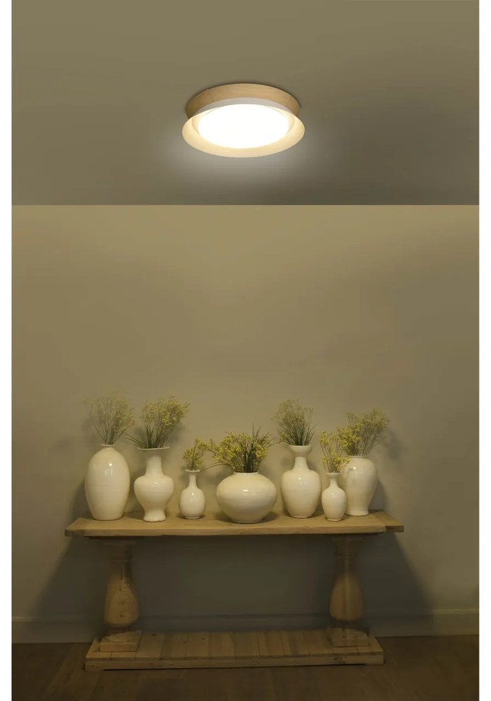 Lustra / Plafoniera LED design modern 45cm TENDER alba
