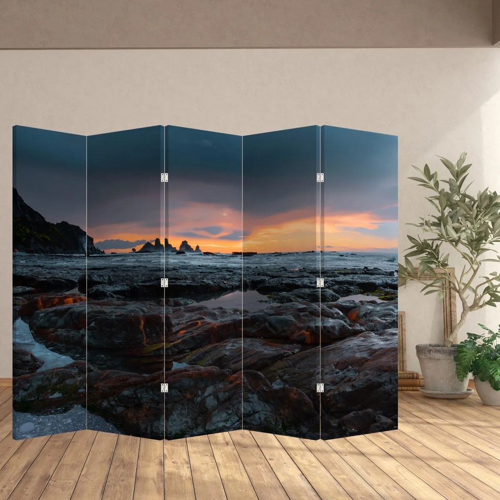Paravan - Peisaj din Noua Zeelanda (210x170 cm)