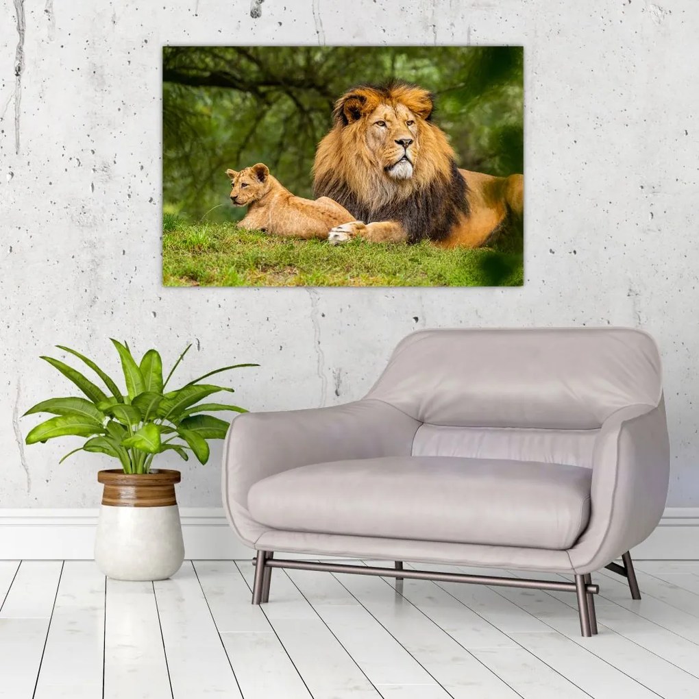 Tablou cu lei (90x60 cm)