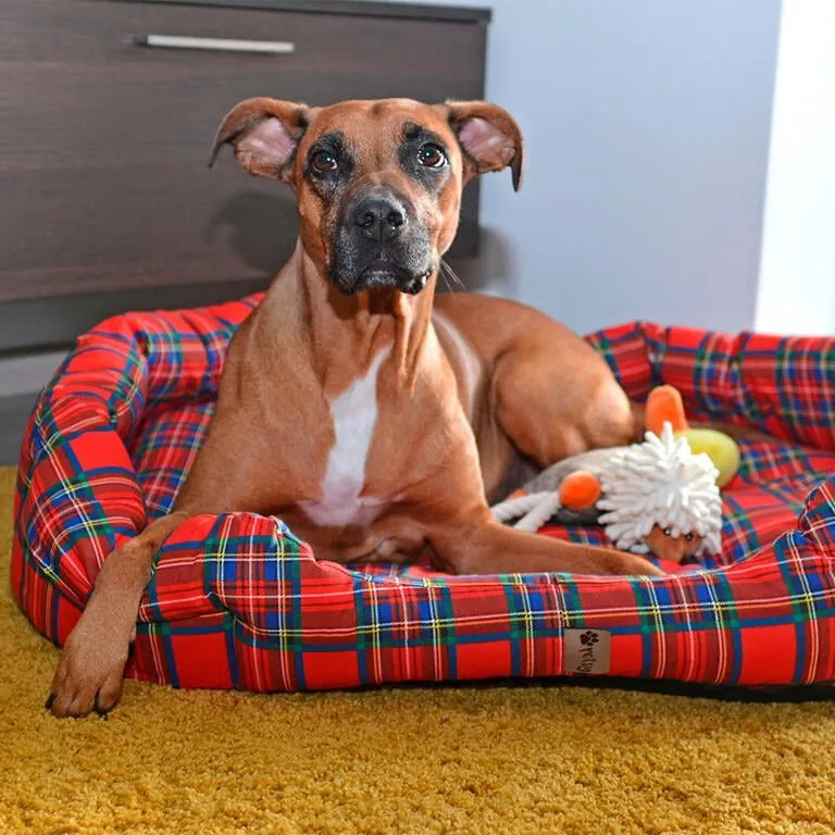 Culcuş pentru câine SCOTTY mărime M - 65 x 50 cm