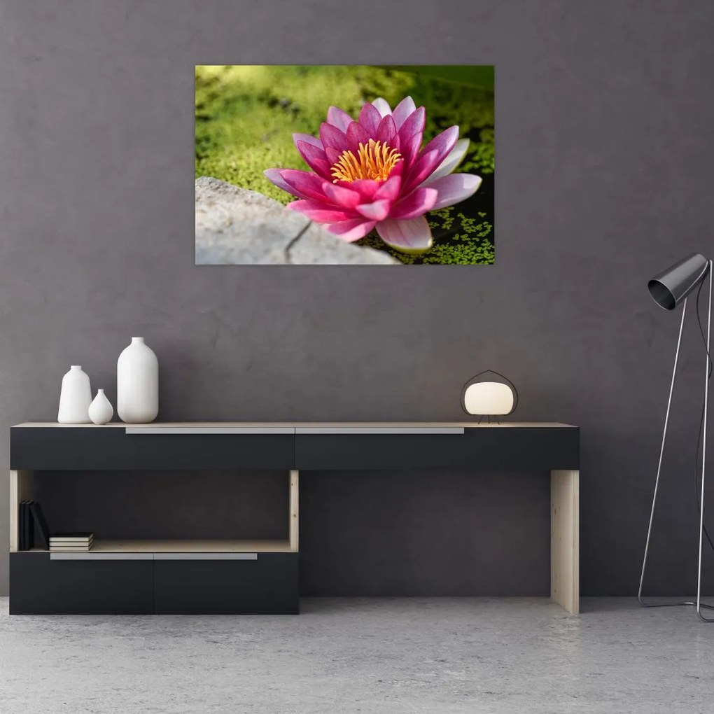 Tablou - Lotus (90x60 cm)