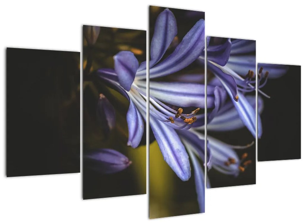 Tablou - Lila (150x105 cm)