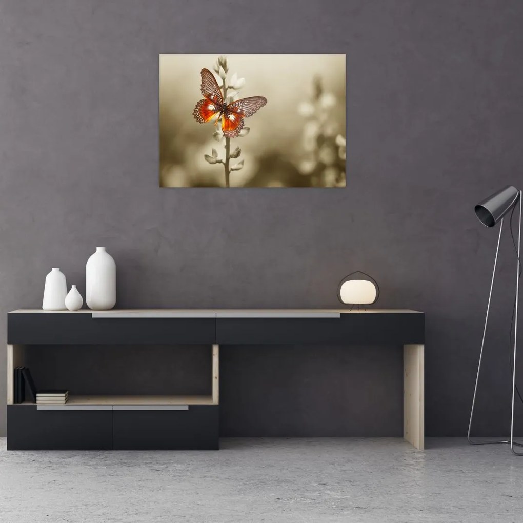 Tablou pe sticlă cu fluture (70x50 cm)