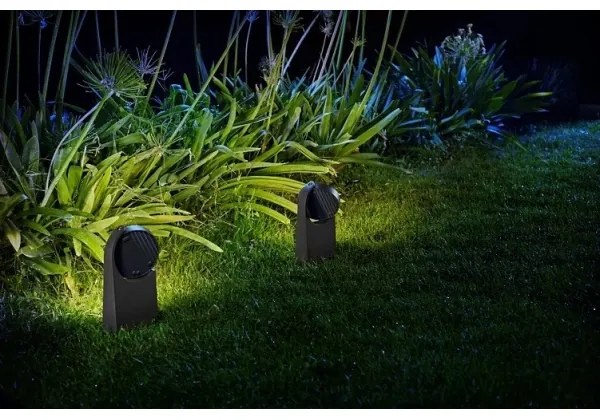 Lampă LED de exterior MIMOSA LED/7W/230V 2700K IP44 Philips