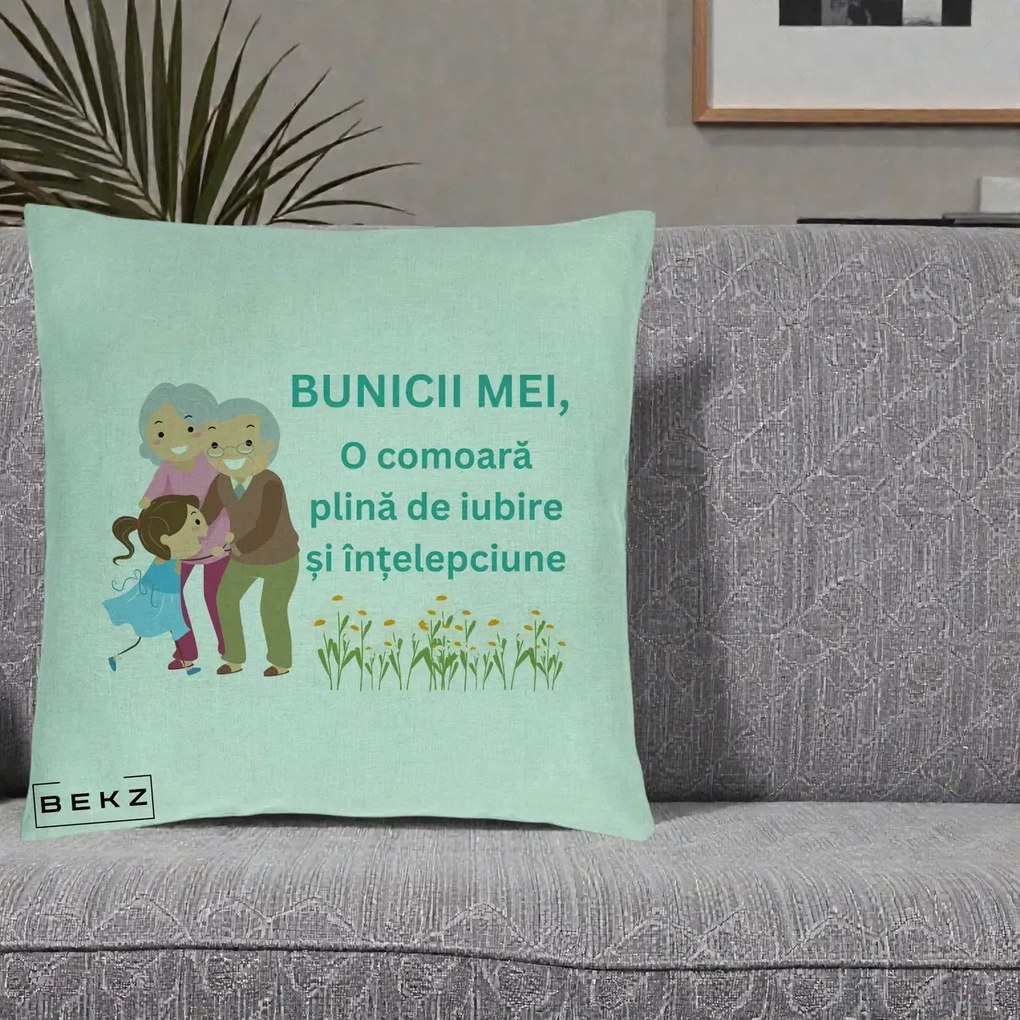 Cadou pentru Bunici - Perna Personalizata Bunicii Mei Comoara Iubire Intelepciune Nepoata, 40x40 cm, Verde Menta, Husa Detasabila, Perna Inclusa, BEKZ®