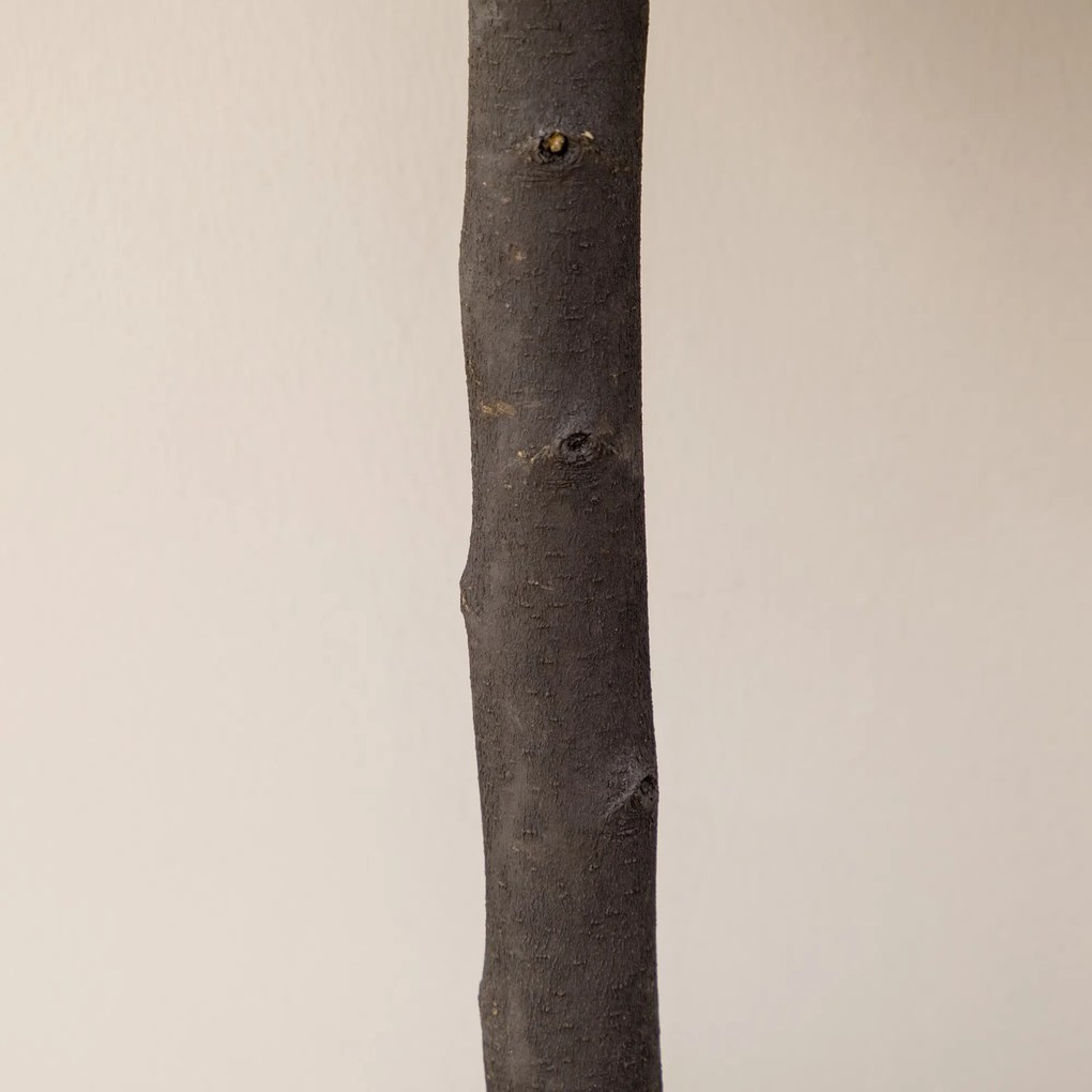 HOMCOM Set de 2 plante mingi de bux artificial cu trunchi si ghiveci inclus - inaltime 60 cm | Aosom Romania