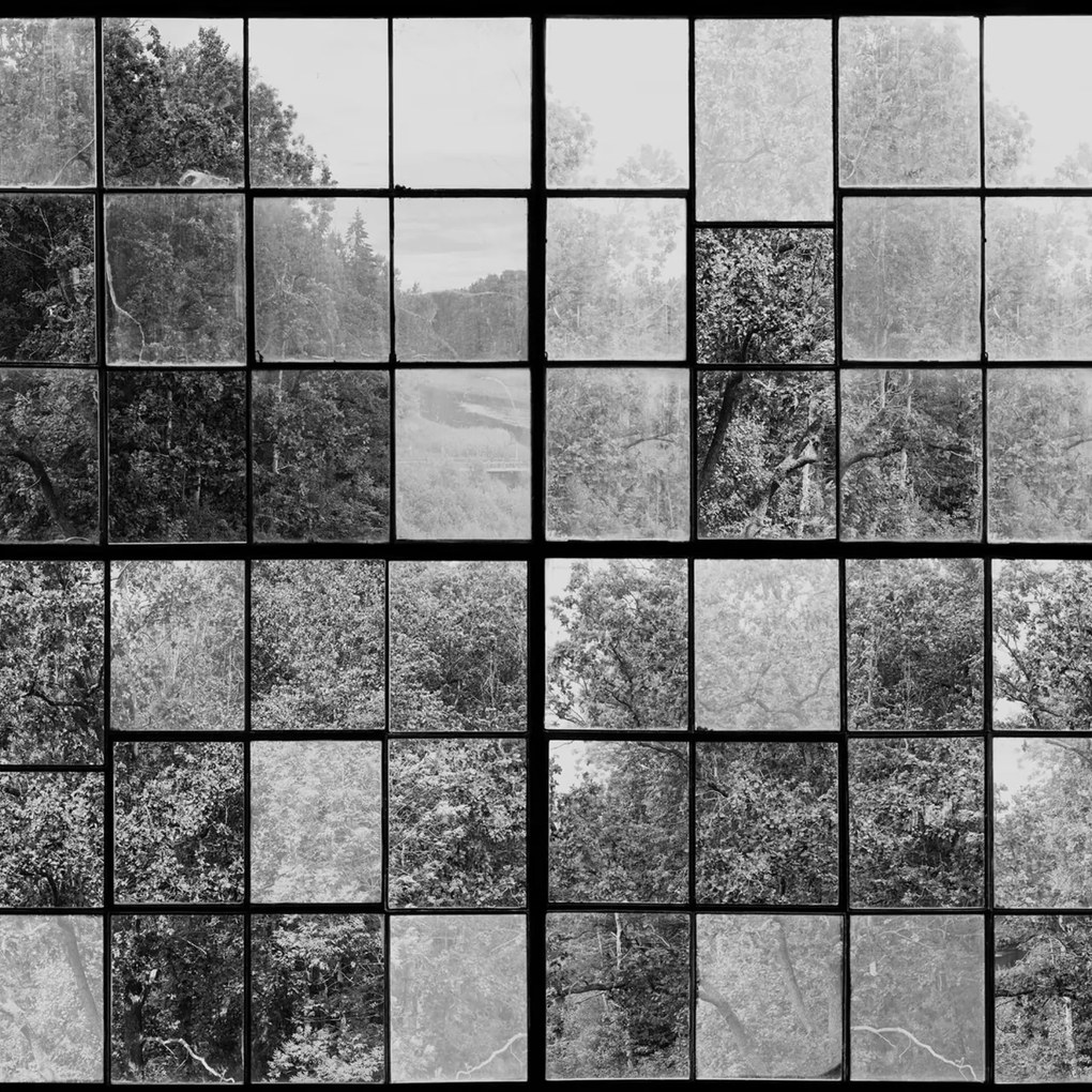 Fototapet, Factory Window, Graphite, Rebel Walls