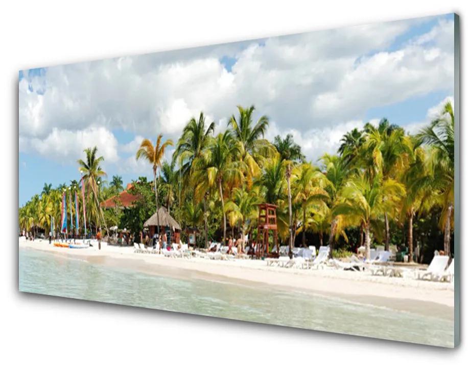 Tablou pe sticla acrilica Palm Beach Copaci Peisaj Brun Verde