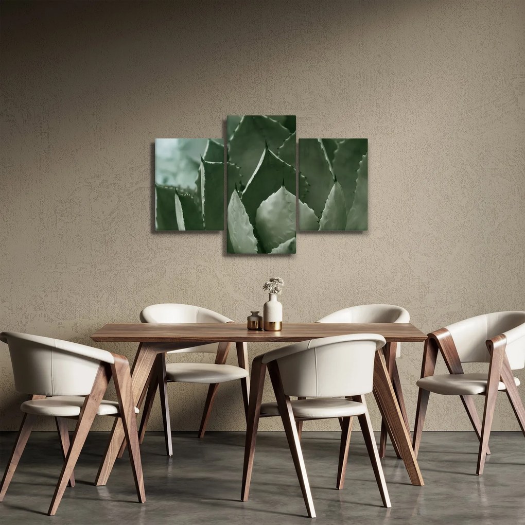 Tablou - Agave verde (90x60 cm)