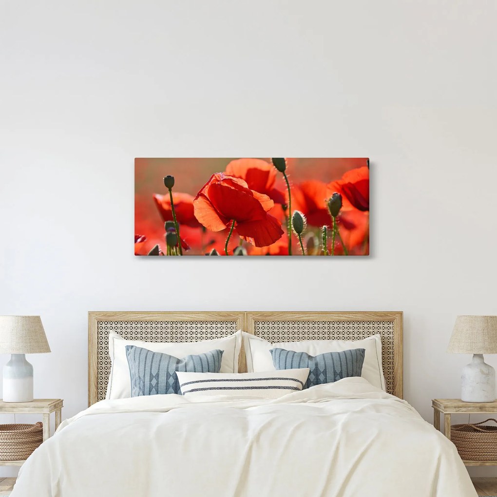 Tablou cu flori de maci (120x50 cm)