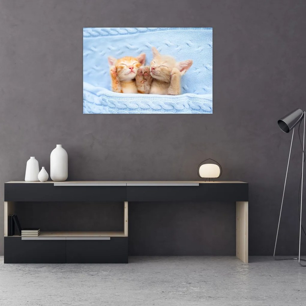 Tablou - Pisicuțe adormite (90x60 cm)
