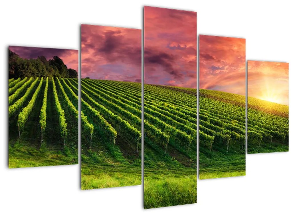 Tablou cu vie cu cerul color (150x105 cm)