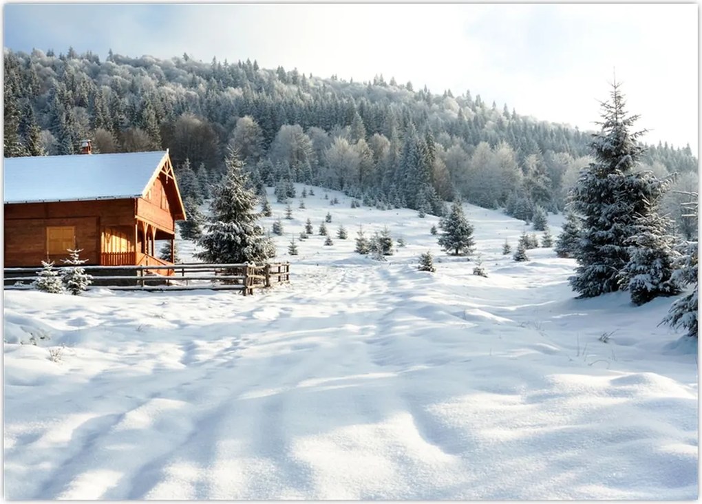 Tablou - Cabană de munte (70x50 cm)