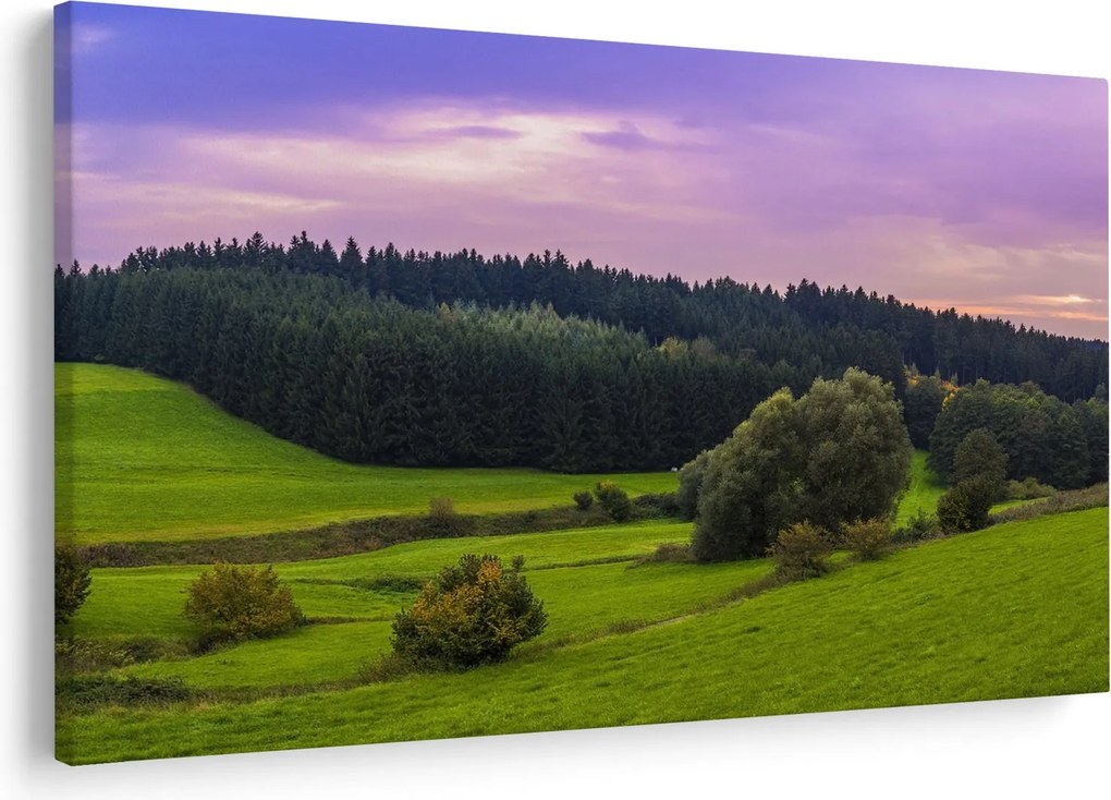 Tablou cu lunca (90x60 cm)