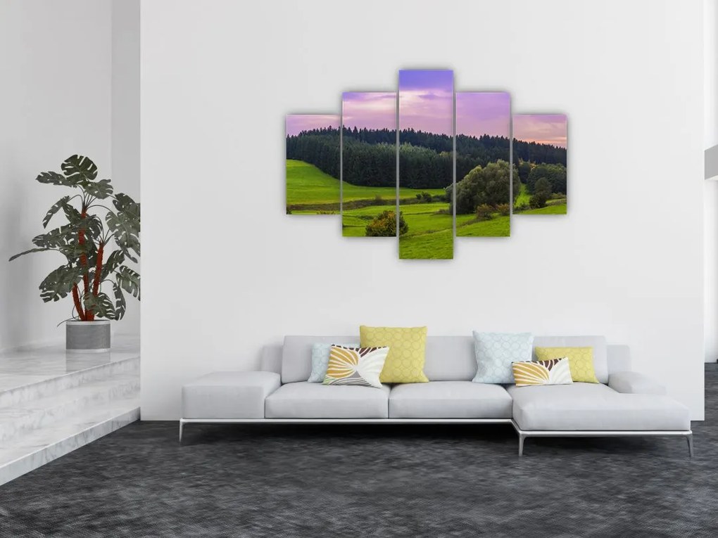 Tablou cu lunca (150x105 cm)