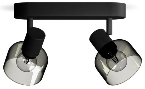 Spot Philips SLEET 2xE14/25W/230V