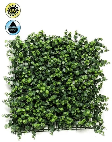 Perete artificial - Eucalyptus - 50 x 50 cm