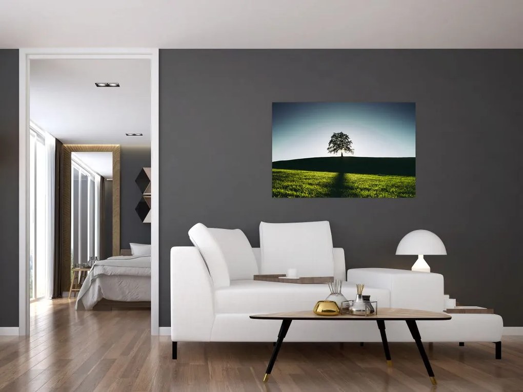 Tablou cu natura - copac (90x60 cm)