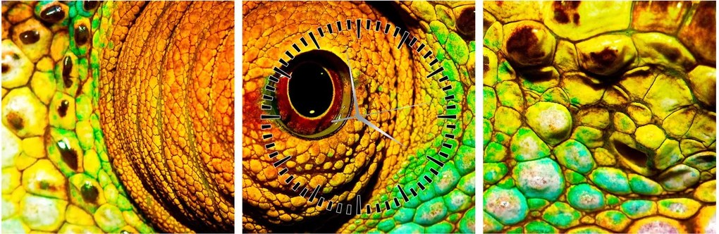 Tablou - Cameleon (cu ceas) (90x30 cm)
