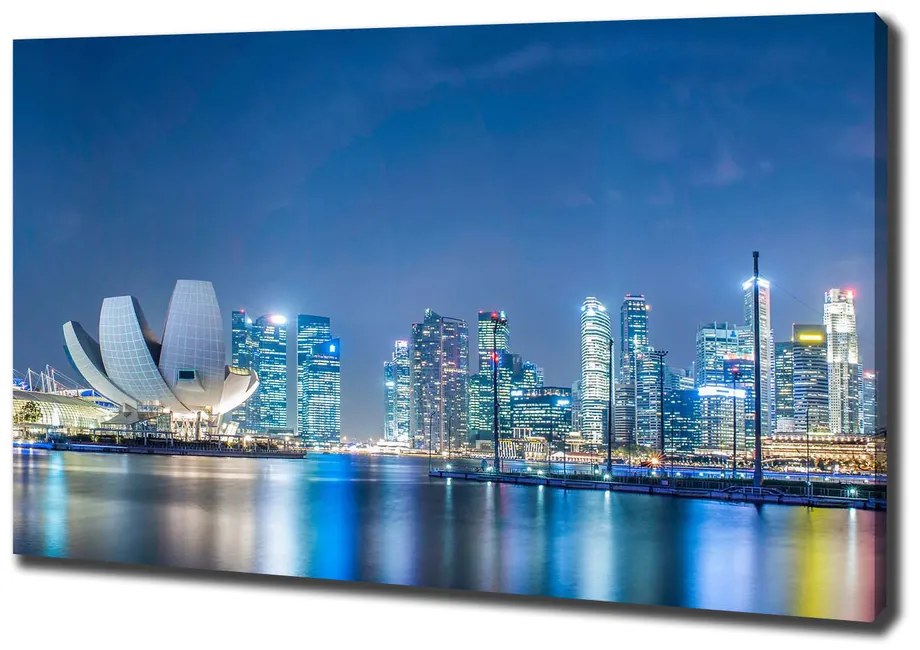 Print pe canvas Singapore timp de noapte