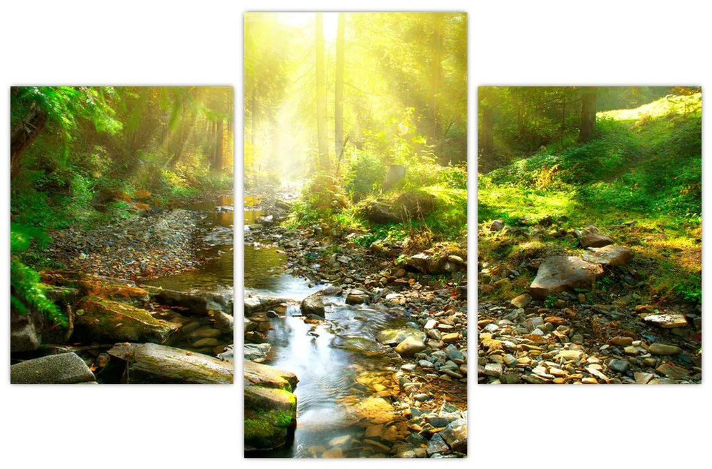 Tablou cu râul în pădurea verde (90x60 cm)