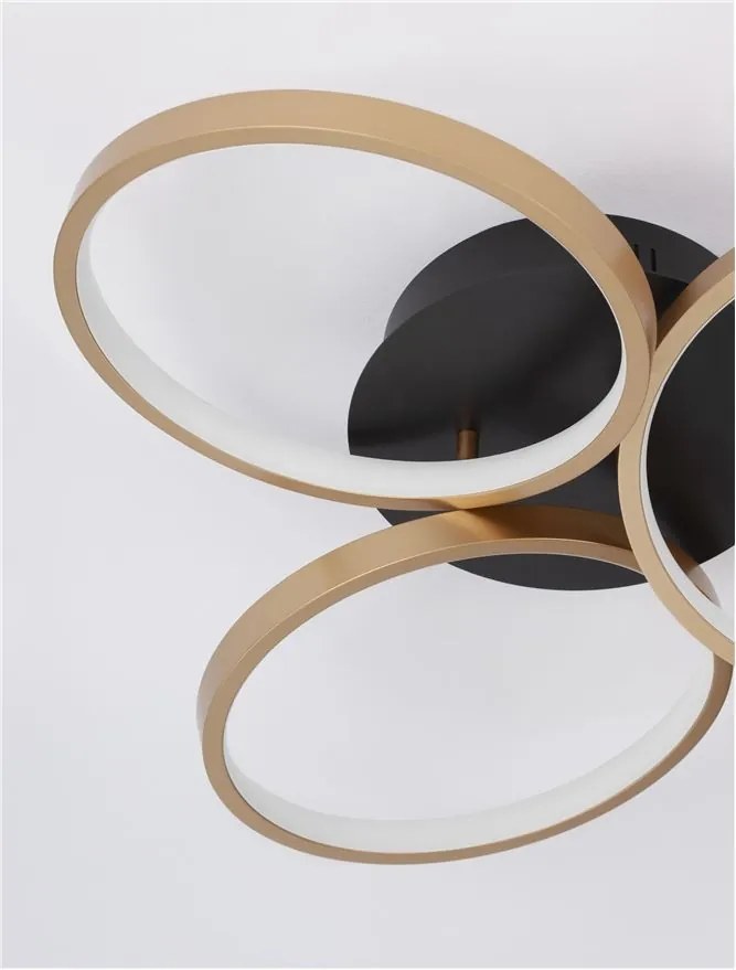 Lustra LED aplicata design modern ELIZE I 28W