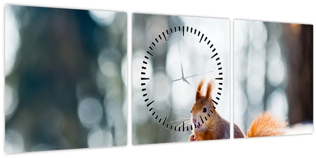 Tablou - Veveriță (cu ceas) (90x30 cm)
