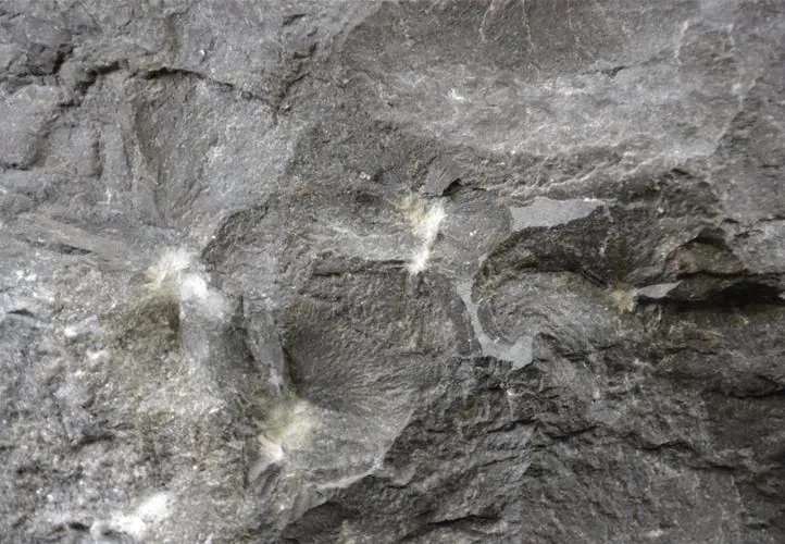 Lavoar DIVERO din piatră naturală - marmură neagră