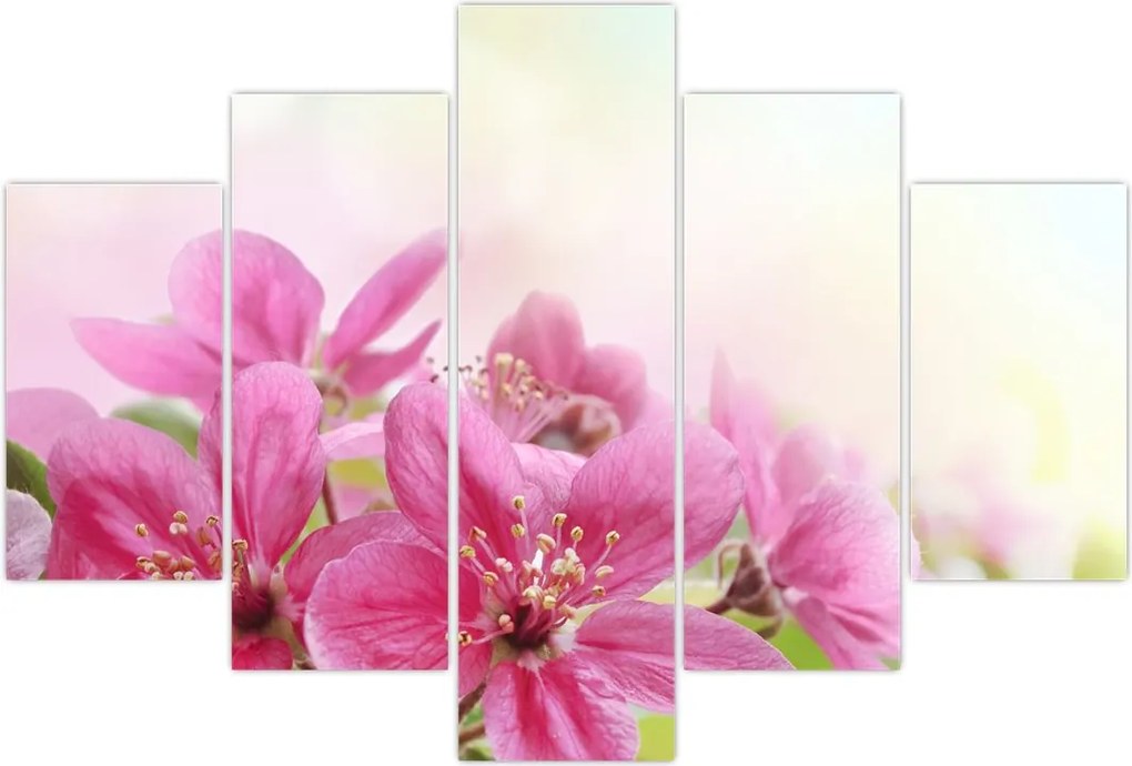 Tablou - Flori roz (150x105 cm)