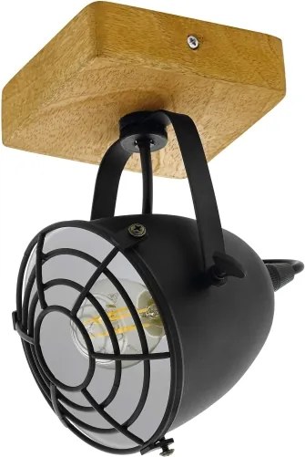 Eglo 49076 - Lampă spot GATEBECK 1xE14/40W/230V