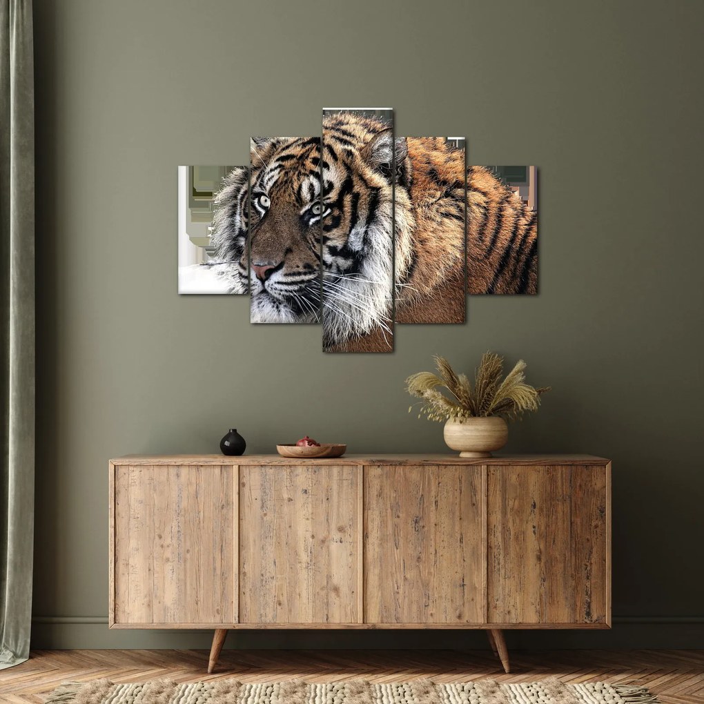 Tablou cu tigrul (150x105 cm)