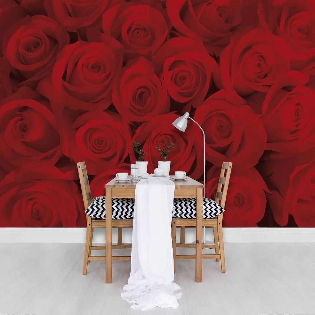 Fototapet - Trandafir (152,5x104 cm)