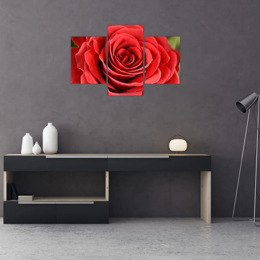 Tablou - Flori de trandafir (90x60 cm)