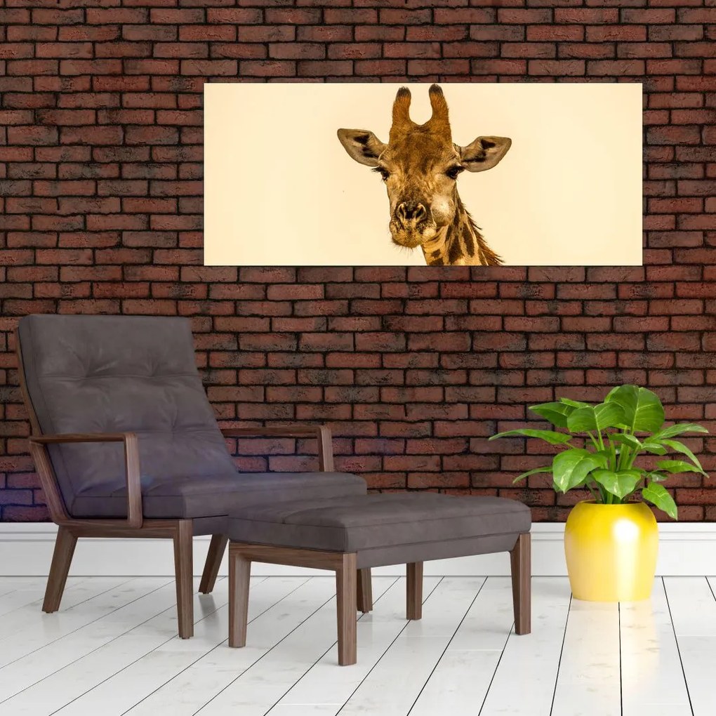 Tablou cu girafe (120x50 cm)
