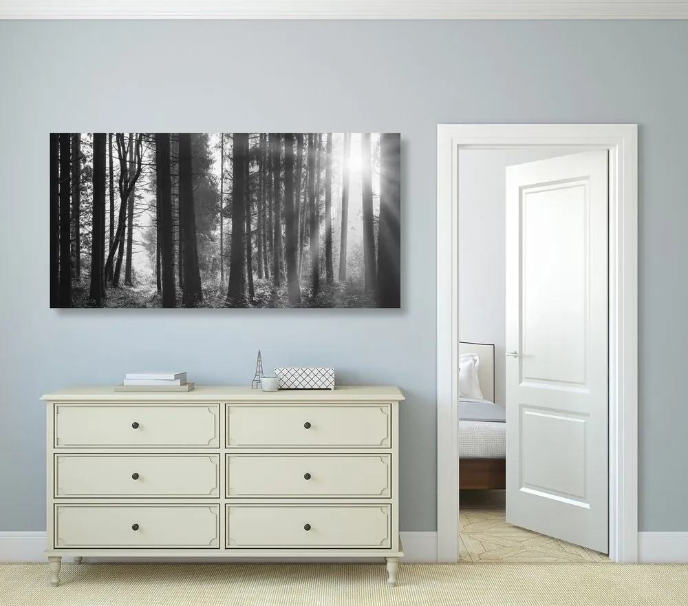 Tablou pădure luminată de soare în design alb-negru