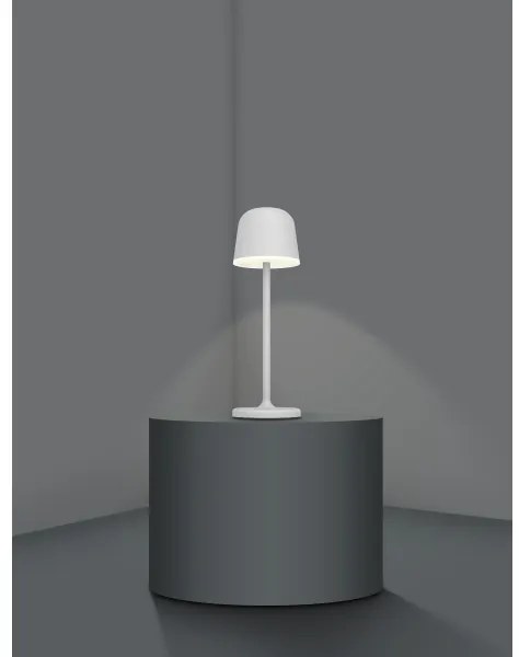 Eglo 900458 - Lampă LED exterioară reglabilă MANNERA 2,2W/5V 1800 mAh IP54