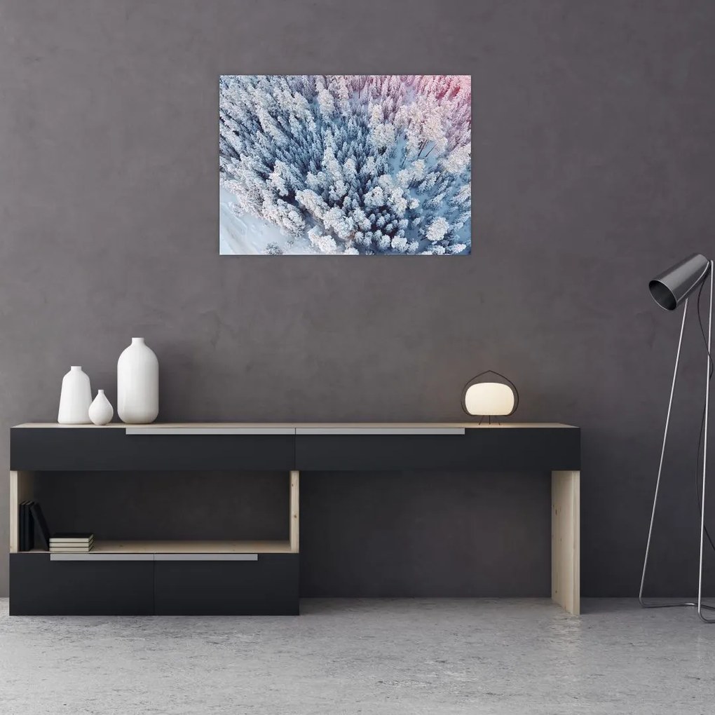 Tablou cu copaci înzăpeziți (70x50 cm)