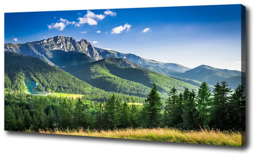 Print pe canvas Dealul din tatra