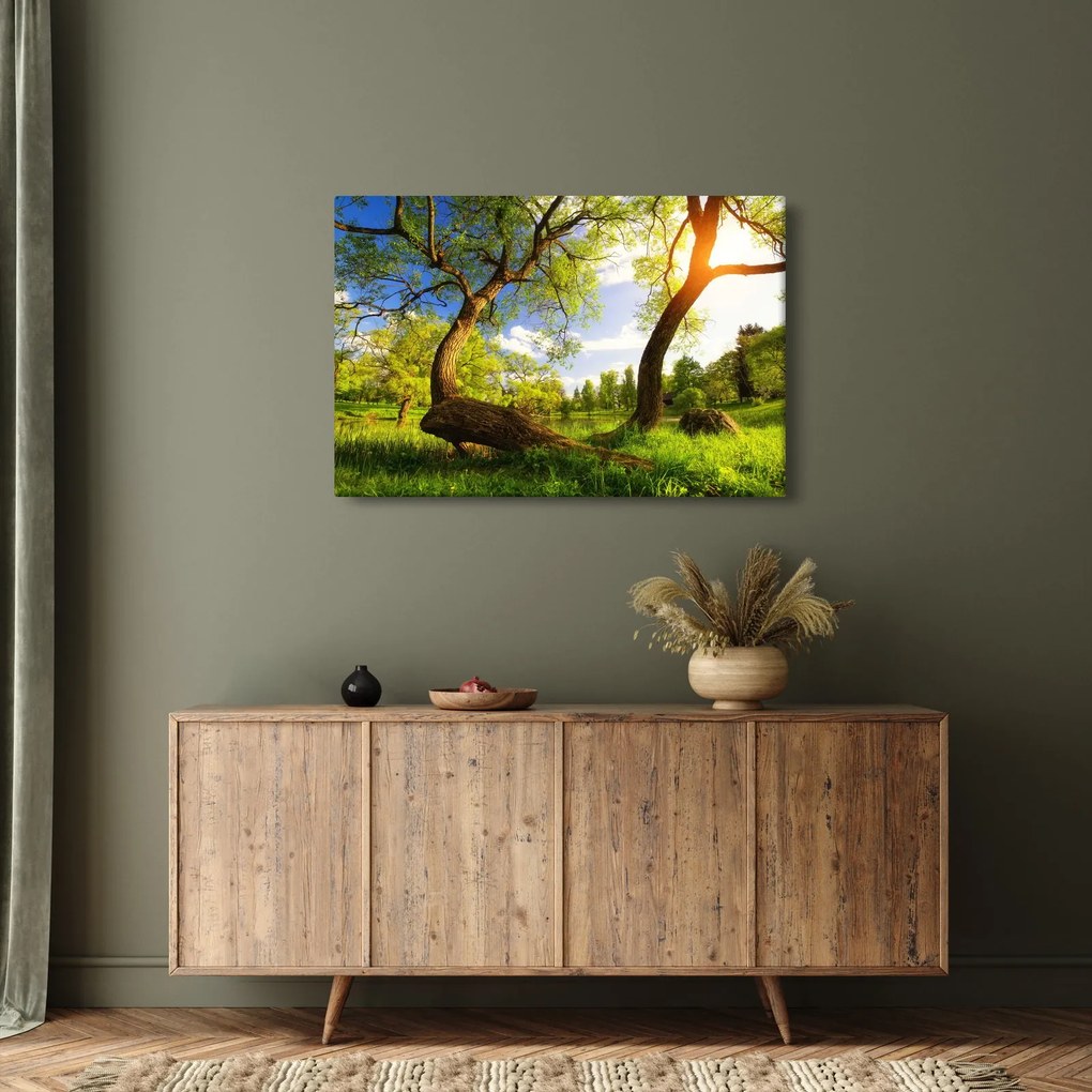 Tablou lunca ne primăvară (90x60 cm)