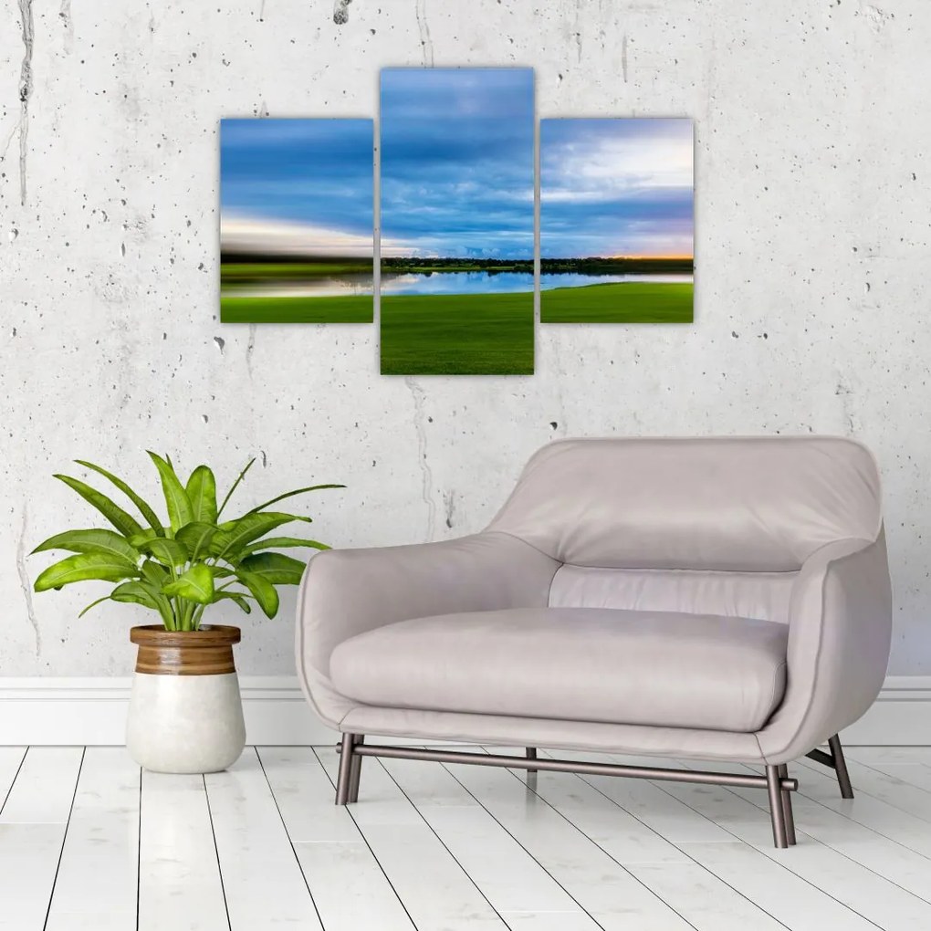 Tablou cu lunca (90x60 cm)