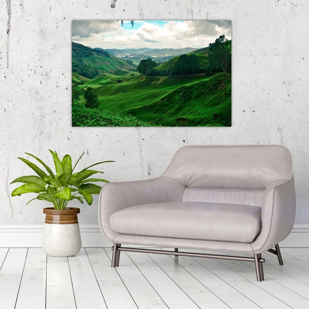 Tablou Plantații de ceai - Malaezia (90x60 cm)