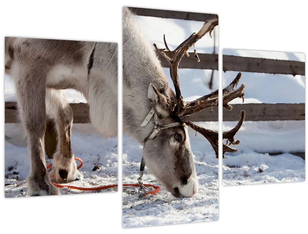 Tablou - Sâmbătă (90x60 cm)