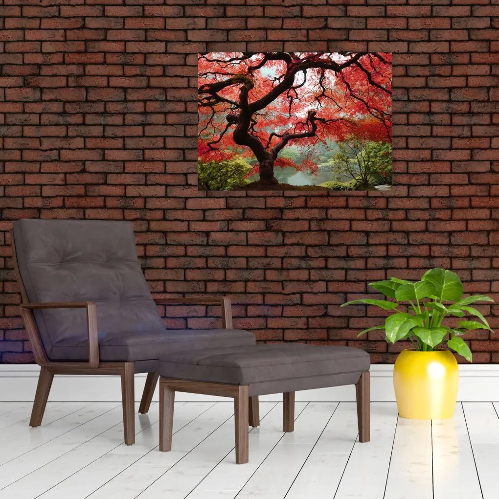 Tablou - Arțarul japonez roșu, Portland, Oregon (70x50 cm)