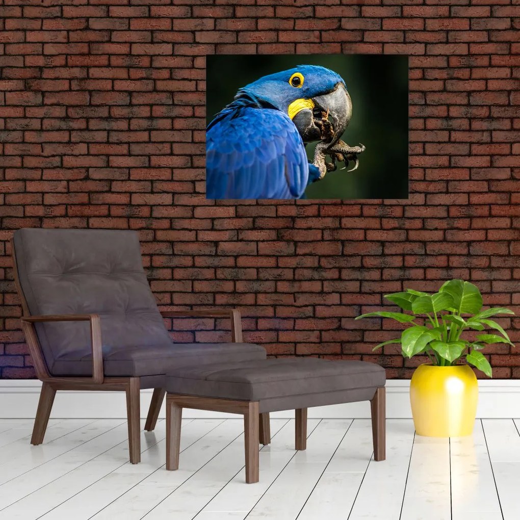 Tablou cu papagal (70x50 cm)