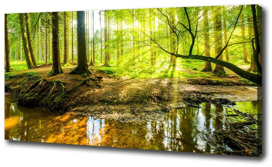 Tablou pe pânză canvas Iazul în pădure