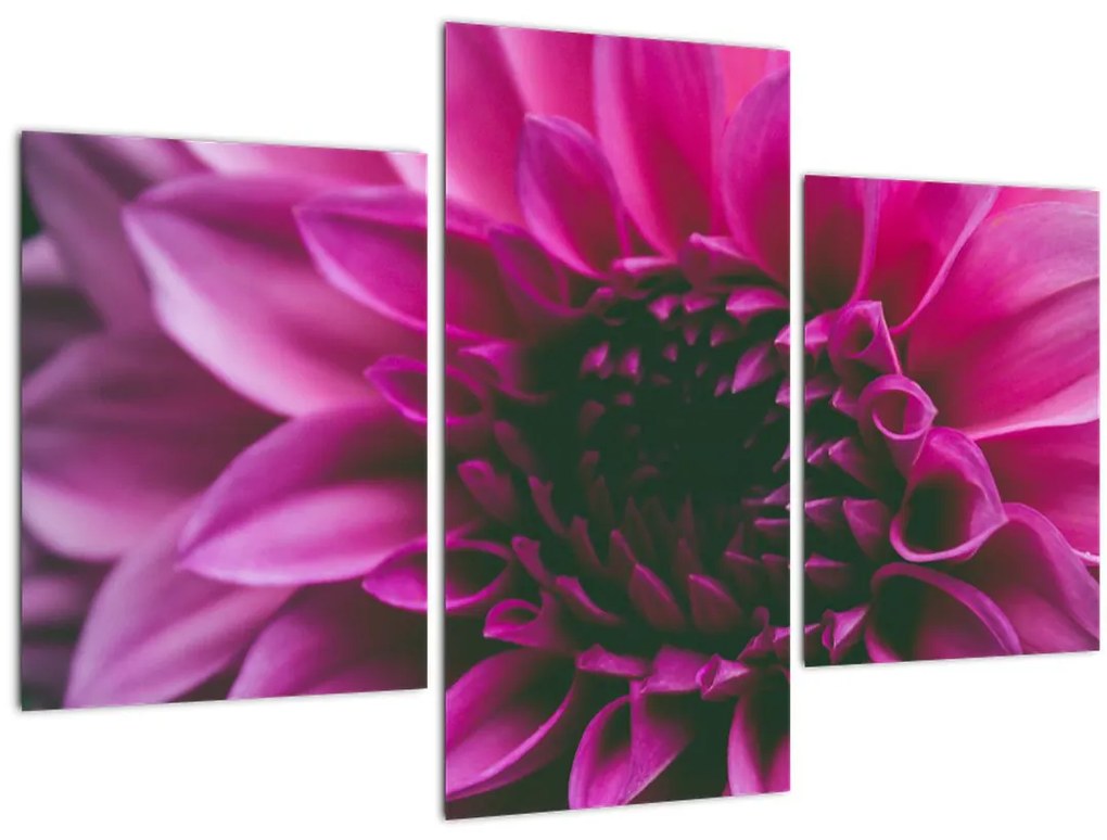 Tablou cu floarea roz (90x60 cm)