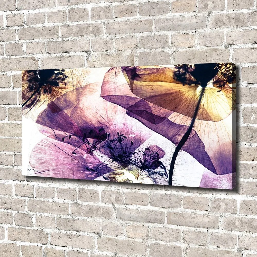 Print pe canvas Maci uscate